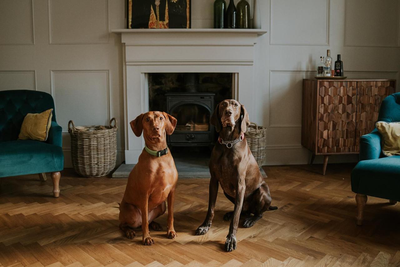 Bed and Breakfast Dacre House, Gilsland Esterno foto